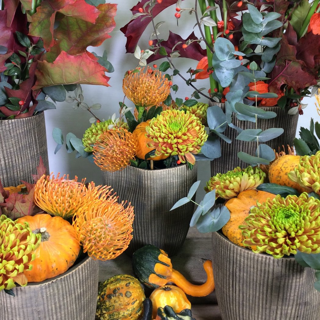 Marianne Fleurs 1